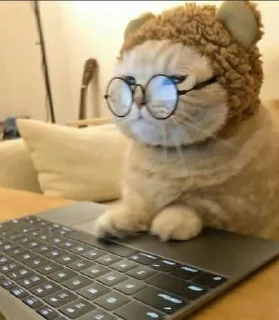 🤓