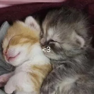 ❤️