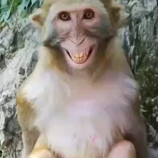 😁