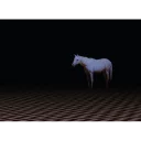 🐎