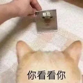🐶