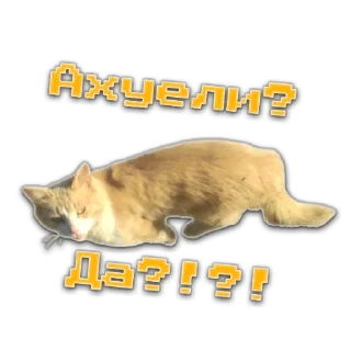 😂