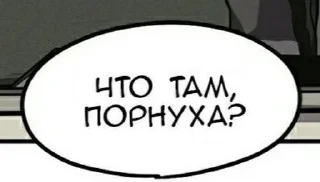 🤍