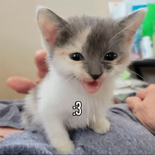 😊