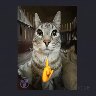 👆