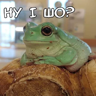 ❓