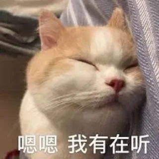 😴