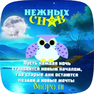 🦉