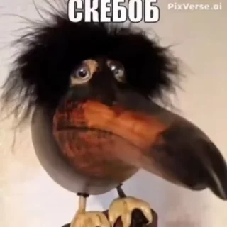 💃
