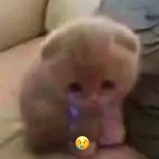 😢
