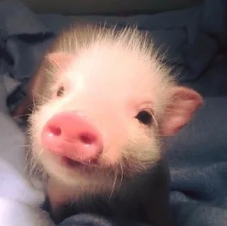 🥺