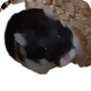 🤘