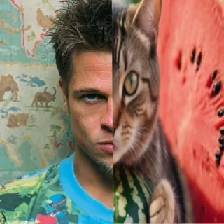 🍉