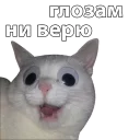 🙈