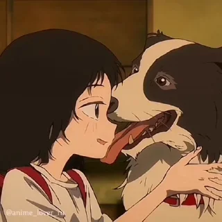 🌟
