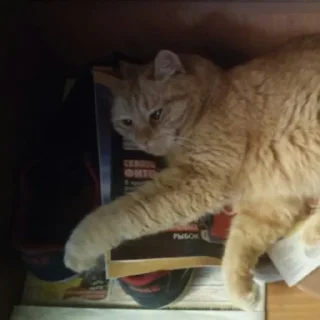 😐