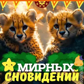 🌟