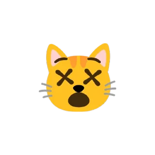 🐱