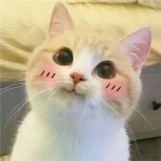 😊
