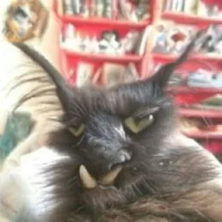 😑