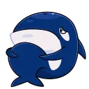 🦈