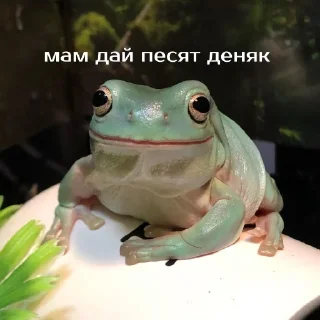 💳