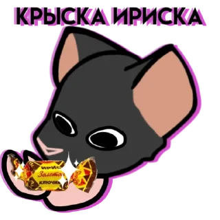 🐀