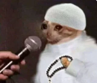 👳‍♂️