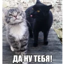 😝