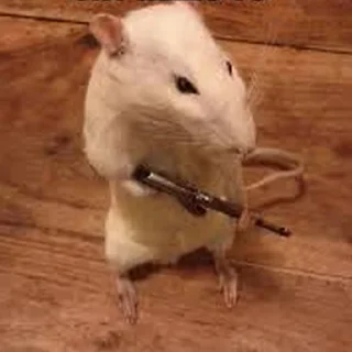 🔫