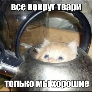 🤭