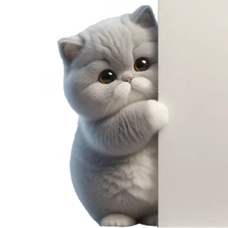 👀