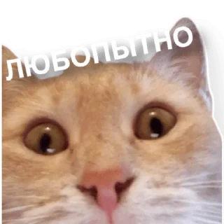 🧐