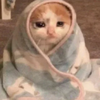🥺