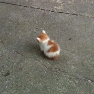 😶