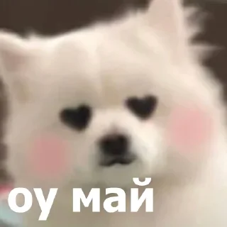 😍