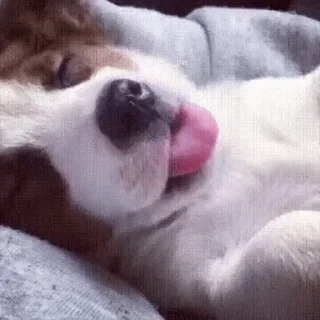 💤