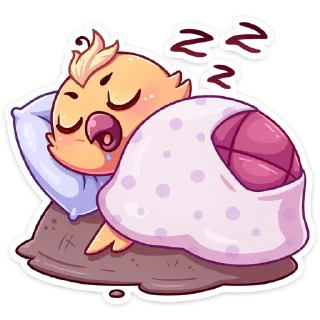 😴