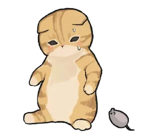 🐱