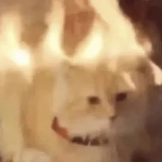 😟