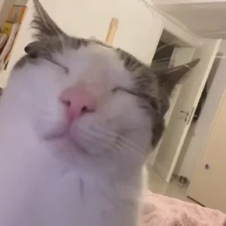 🥴