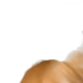 😡