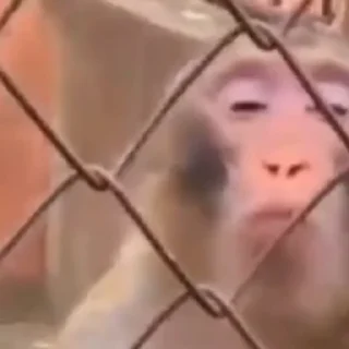 🤬