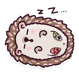 😴