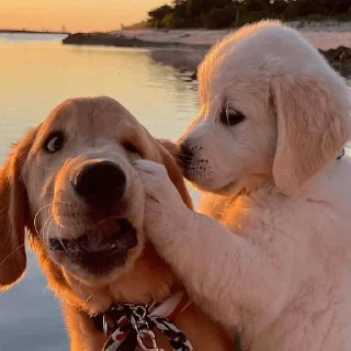 😄