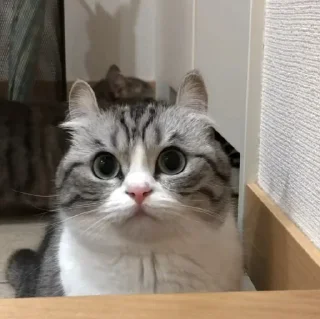 😍