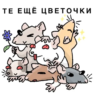 💐