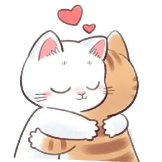 🐱