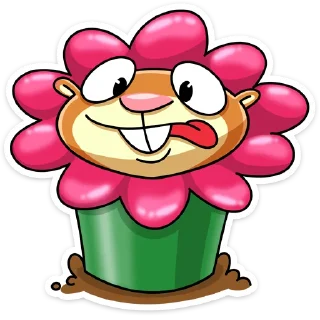 🌺
