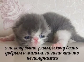 🥲
